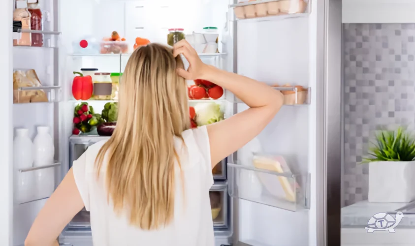 Riparazione frigorifero: come risolvere le crepe interne