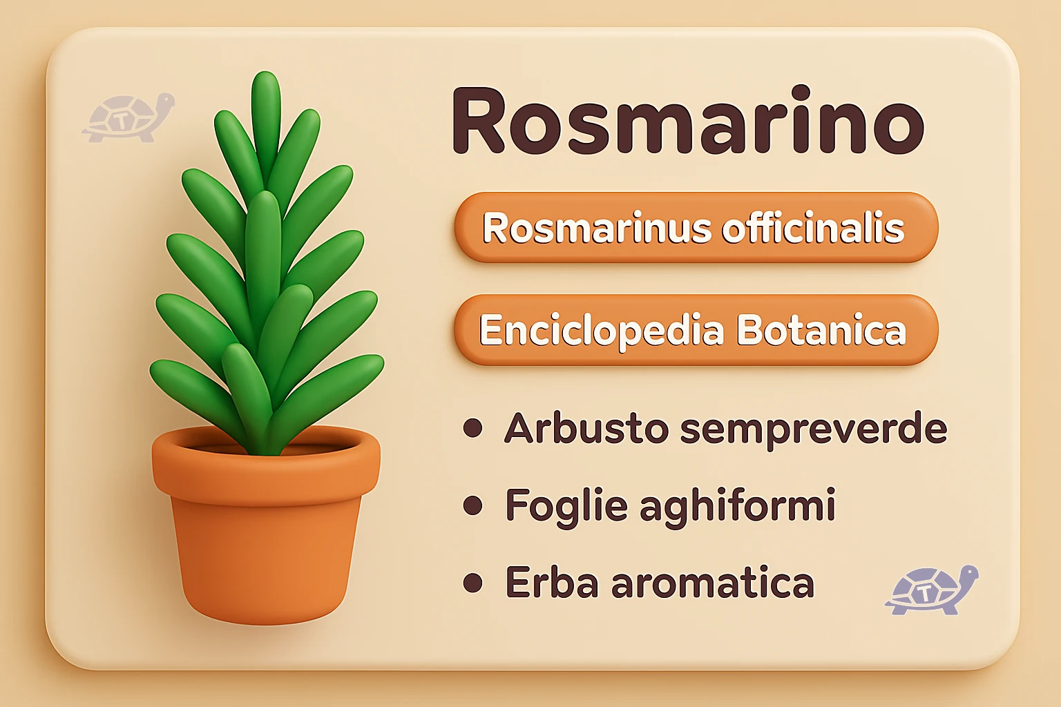 caratteristiche rosmarino