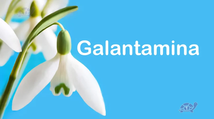 galantamina